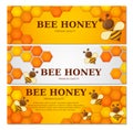 Honey label premium quality title. Paper cut style bee with honeycombs and Bee. Template design for banner